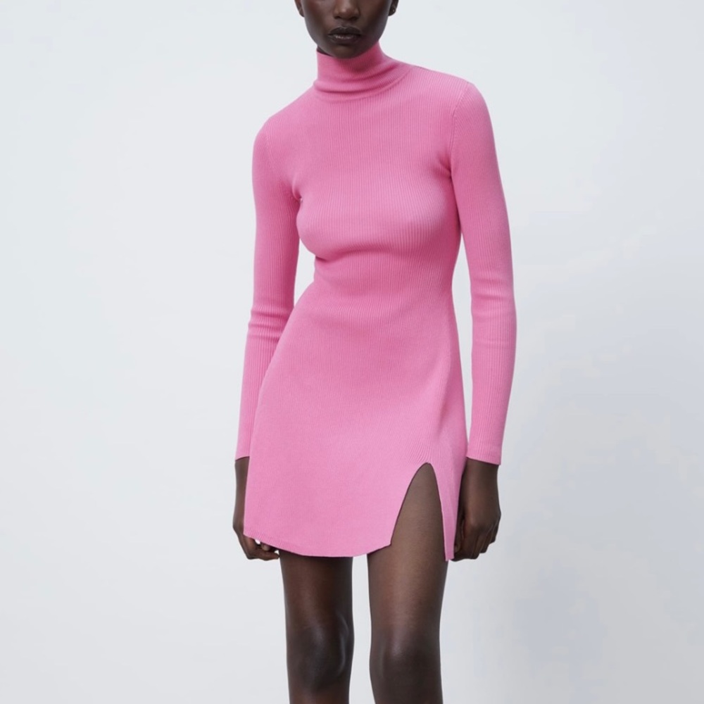 Zara Turtleneck Knit Mini Dress